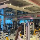 지니어스 짐 이미지