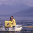 고래세상 이미지