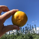 민우네농장 이미지