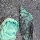 뉴캐슬마트 이미지