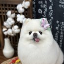 개운한날 이미지