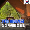 강아지동반 가평글램핑 여긴 무조건 가세요!! 반려견동반 숙소 가평 펜션 추천