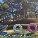 청주랜드동물원 타지역 4인가족 무료입장한 썰