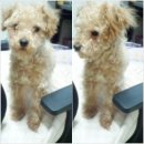 훼미리마트포천