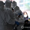 동해중앙초등학교 이미지