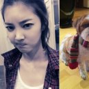 윤지애견 이미지