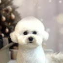 관저남로 이미지