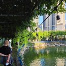 차연요양병원 | [차연요양병원] 가을 바람을 따라, 힐링프로그램 카페나들이♡