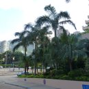 골드코스트 호텔 이미지