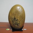 흑도