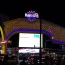 2019-주108 이미지