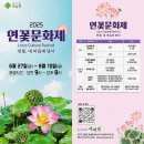 상진대교 밑 | [경기 양평 가볼만한곳] 양평 세미원 ㅡ 연꽃문화제 (2025. 7. 12 방문)