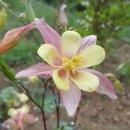 한농한의원 이미지