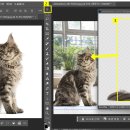 하모나이즈 이미지