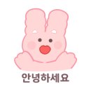 솔에스떼 네이버블로그