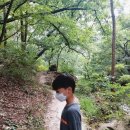 무성 태권도장 이미지