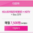 다모아뮤직 이미지