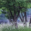 레드브릭 | 조용한 카페에서 커피 한 잔 - 용인카페 레드브릭101 후기