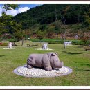 불갑저수지 수변공원 이미지