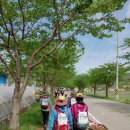 용현계곡입구 이미지