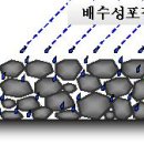 수망리교차로 2 이미지
