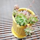 마커스 카페