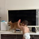 뽀뽑뽀 | 2025년 9월