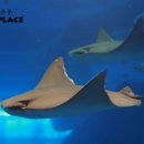 정운공인중개사사무소 이미지