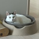 [주간일기] 이유 없이 바빴던 6월 둘째 주와 셋째 주 일상