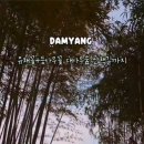 등나무1,2,3.길 이미지