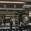 팀투나인 피트니스 | 평택고덕 헬스장_평택 고덕 헬스장 추천_팀투나인