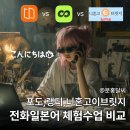 [북부]일본어회화(2025) | 전화 일본어 수업 비교, 포도 랭디 니혼고이브릿지 체험 후기 내돈내산 강의