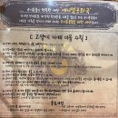 청주 운천동 운리단길 유기묘 고양이 카페 후기 [애니멀공화국] + 실제 유기묘 입양 보낸 후기