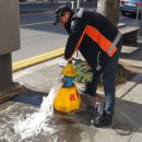 서귀포소방서 동홍119센터 이미지