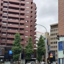 중동012 | [후쿠오카 2박3일 2일차] 라멘 히후미/텐진 샌드리/유니클로 키티 티셔츠/이모야킨지로 고구마스틱/카쿠...