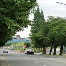 스테이 소이 이미지