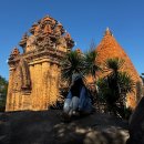 바다다음79 | 나트랑 시내 시티투어 가장 저렴하게 이용했던 현지업체 나트랑카79 사용한 후기