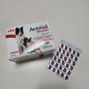 강아지봄 | 강아지 관절영양제 꾸준히 먹여봄 | 안티놀 래피드 슬개골 효과 솔직 후기