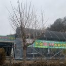 논실농원식당 이미지