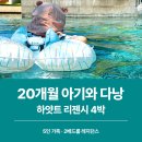 철수세탁방 | 20개월 아기·5인 가족 다낭 숙소｜하얏트 리젠시 2베드룸 레지던스 4박 후기