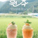 강원도 원주 농촌체험, 황둔 찐빵 만들기 체험 로컬푸드 수확 후기 in 삼송마을 🍑