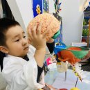 상상모아융합예술연구소