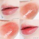 다이소 딘토 라벨르 로즈 플럼핑 립틴트 24 더스크로즈 25 모닝로즈 오 예쁜데?