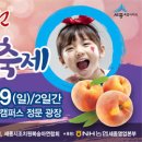 110년 전통 세종조치원 복숭아 축제 이미지