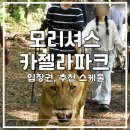 위드프렌즈레스토랑 | 모리셔스 카젤라파크 입장권 가격 워킹위드라이언 예약시간 준비물