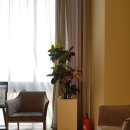 빌라드스킨피부과의원 이미지