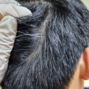 닭발흥신소 본점 이미지