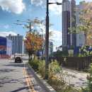 파라곤아파트상가 앞 | 검단파라곤센트럴파크 임장 후기! 검단신도시 핵심 아파트, 검단 7억 시대… 이 아파트 지금 사도 될까?