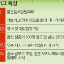 낙엽 속 1마리가 알 500개 산란… “살충제 살포만이 능사 아냐” [연중기획-지구의 미래] 이미지