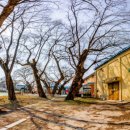 제내리보건진료소 이미지